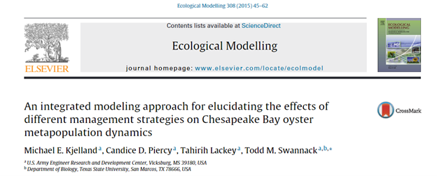 An Integrated Modeling Approach for Elucidating the Effects of Different Management Strategies on Chesapeake Bay Oyster Metapopulation Dynamics