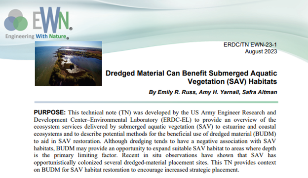 Dredged Material Can Benefit Submerged Aquatic Vegetation (SAV) Habitats